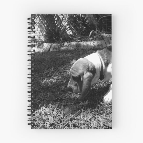 Aperçu de l'œuvre Nothin' but a Hound créée et vendue par TJ Zook.
