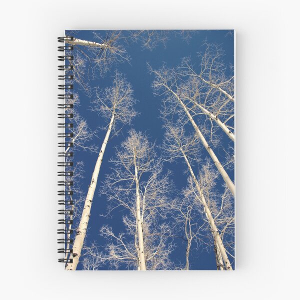 Artikelvorschau, Aspen Trees 4 entworfen und verkauft von TJ Zook.