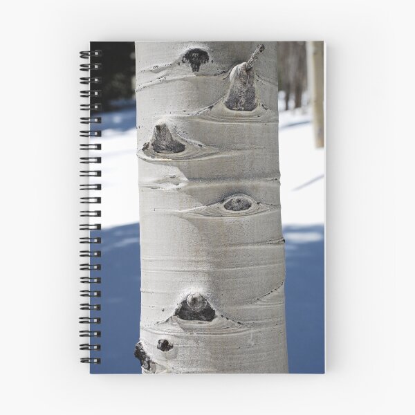 Item preview, Aspen Trees 3 designed and sold by TJ Zook.