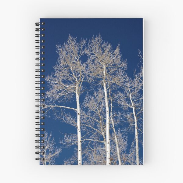 Item preview, Aspen Trees 3 designed and sold by TJ Zook.