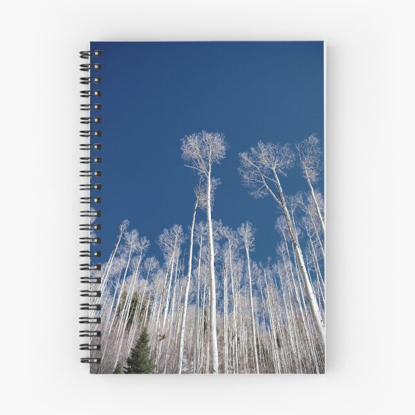 Item preview, Aspen Trees designed and sold by TJ Zook.