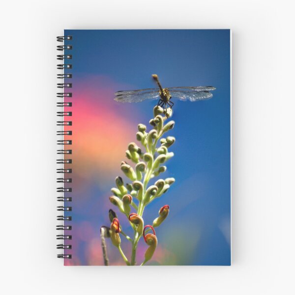 Artikelvorschau, Dragonfly on colourful flowers entworfen und verkauft von Rick Fin.