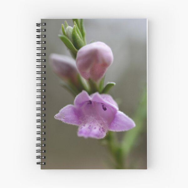Artikelvorschau, Eremophila-Native flower entworfen und verkauft von Katrina Freckleton.