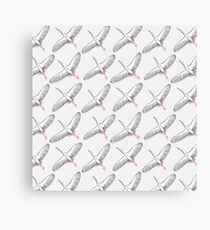 White storks Canvas Print