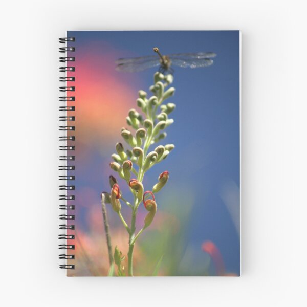 Item preview, Orange grevillea with dragonfly designed and sold by Rick Fin.