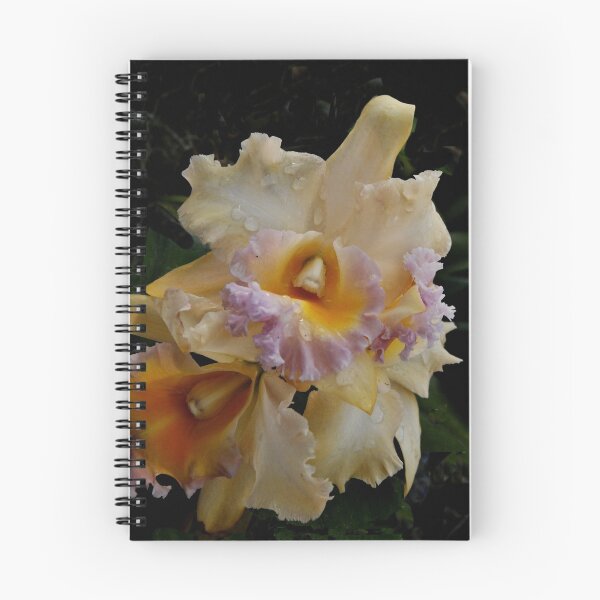 Item preview, Peach Orchid designed and sold by Dennis Rubin IPA.