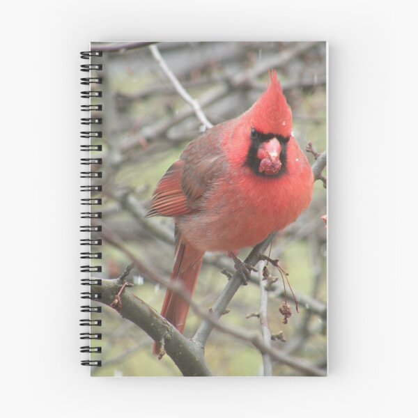 Item preview, Cardinal cutie (male) designed and sold by WonderlandGlass.
