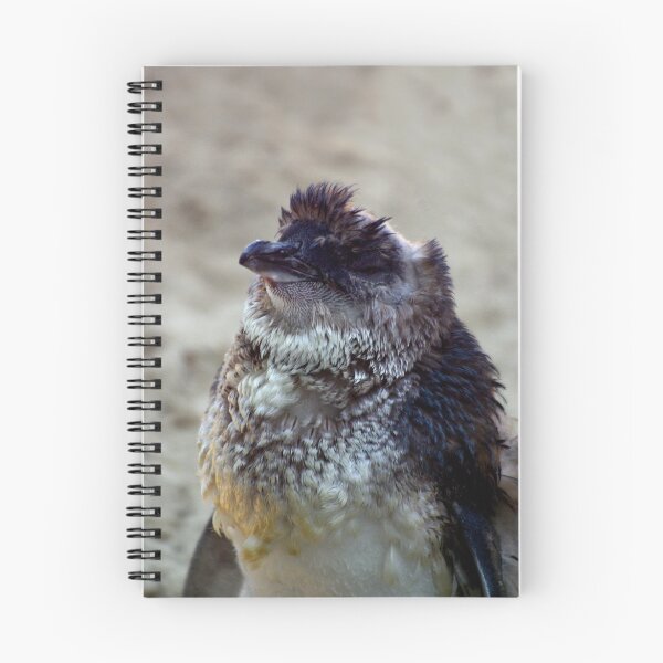 Item preview, Moult designed and sold by Tamara  Kenneally.