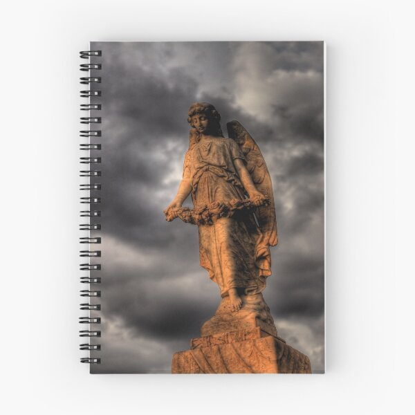 Item preview, The Guardian designed and sold by Rod Wilkinson.