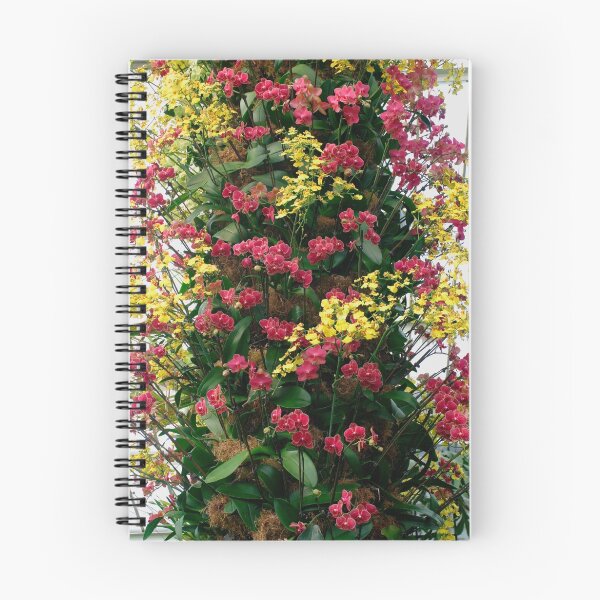 Item preview, Orchids 2 designed and sold by lepreskil.