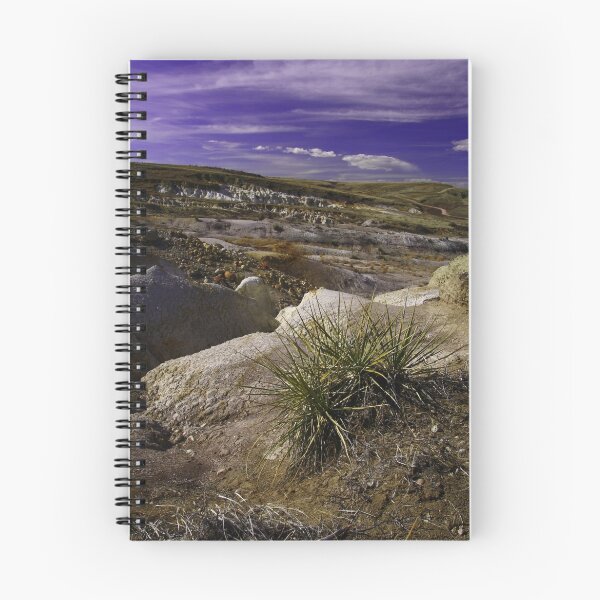 Item preview, Paint Mines designed and sold by Craig Forhan.