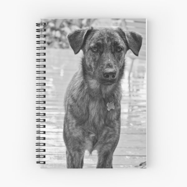 Item preview, Good Dog designed and sold by andapanda.