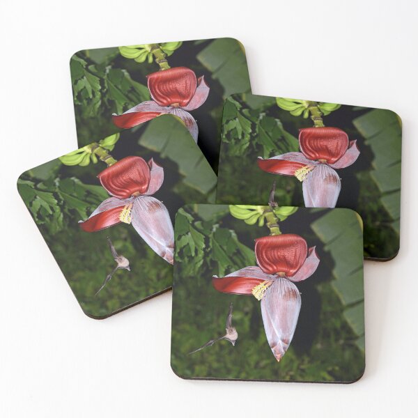 Item preview, Bat Pollinating a Banana Plant designed and sold by Chris Monks.