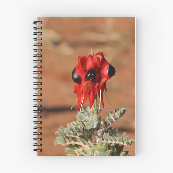 Item preview, Sturt Desert Pea designed and sold by InNature.