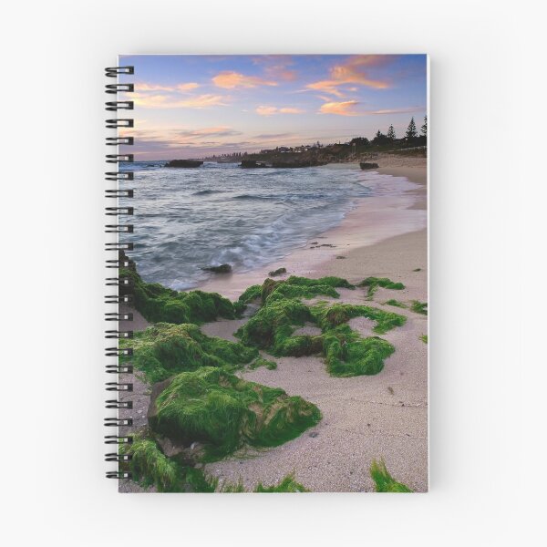 Item preview, Seaweed designed and sold by John Pitman.