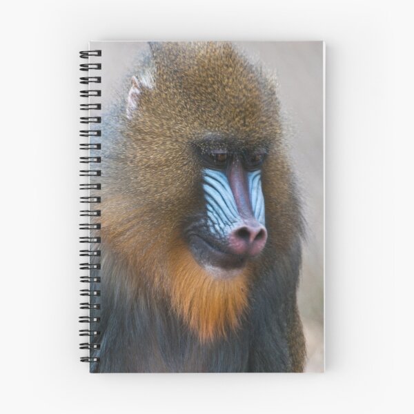 Item preview, Mandrill designed and sold by Gary Lengyel.