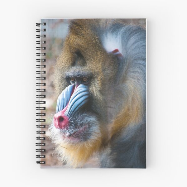 Item preview, Mandrill designed and sold by Gary Lengyel.