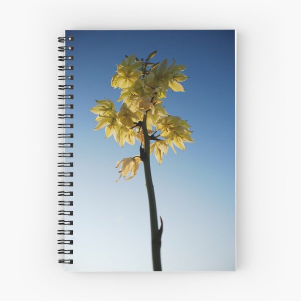 Item preview, Great Plains yucca designed and sold by TJ Zook.