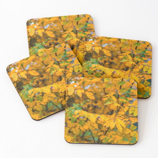 Item preview, Fall Pattern`s 2018 designed and sold by JohnDSmith.