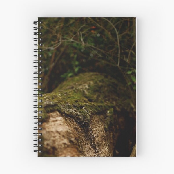Item preview, Secret Place designed and sold by Bonnie Blanton.