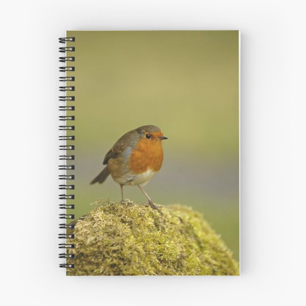 Item preview, The Robin designed and sold by laurav.
