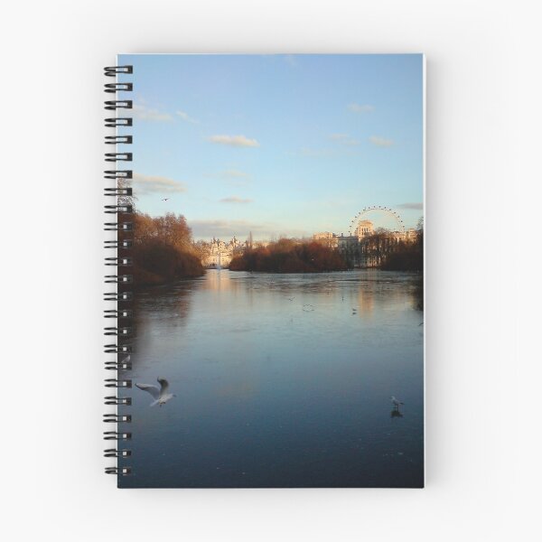 Item preview, St James' Park designed and sold by Sheila Smith.