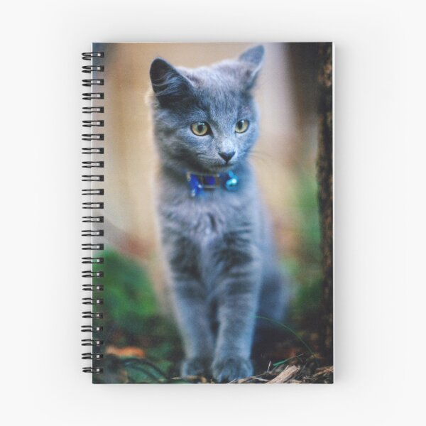 Item preview, Leo designed and sold by Norman Repacholi | Keystone Photography.
