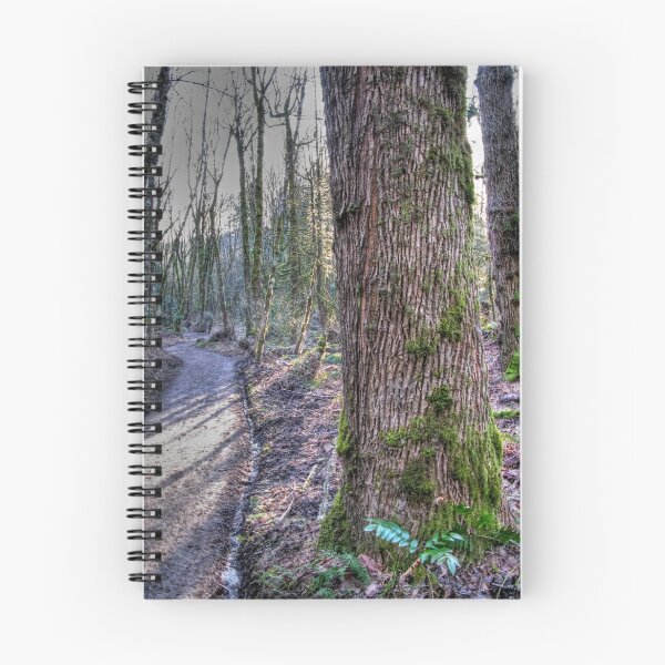 Item preview, the trail designed and sold by Bruce  Dickson.