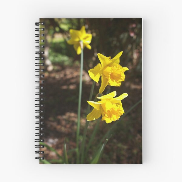 Item preview, Daffodils designed and sold by Norman Repacholi | Keystone Photography.