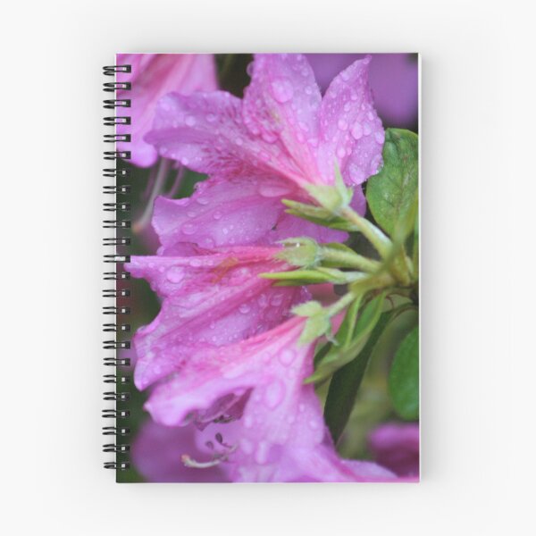 Item preview, Morning Rain designed and sold by Laddie Halupa.