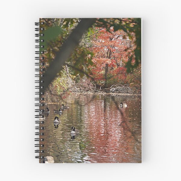 Item preview, Autumn At The Pond designed and sold by TerrieK.