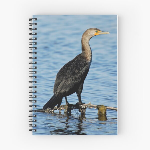 Item preview, Double-Crested Cormorant designed and sold by Larry Powell.