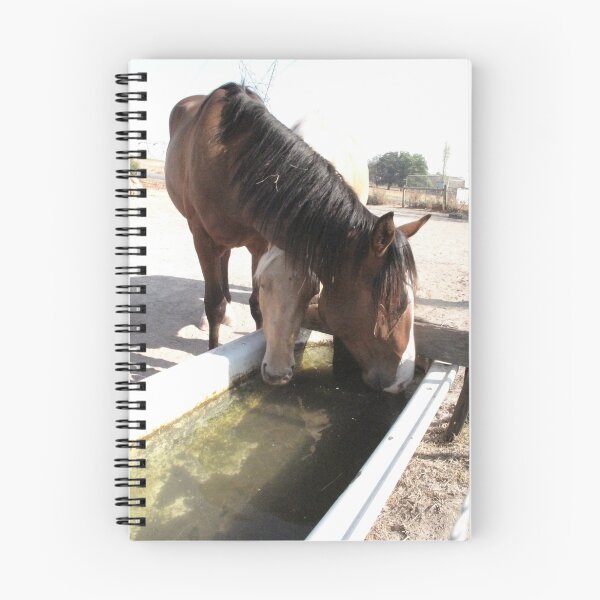 Item preview, Sharing a Drink designed and sold by Skyhorse.