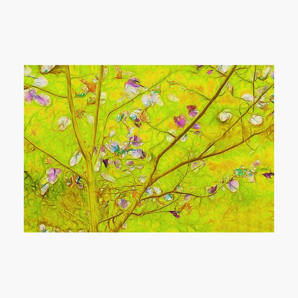 Dancing in the Wind 21p8b Photographic Print