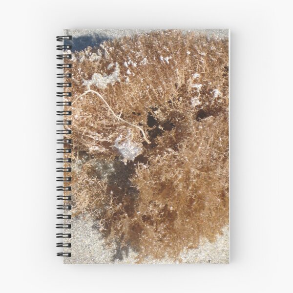 Item preview, At the Beach designed and sold by Terri Grosser.