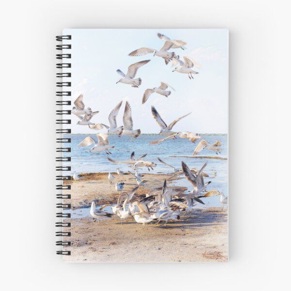 Item preview, Sea Gull Vortex designed and sold by Francesa.