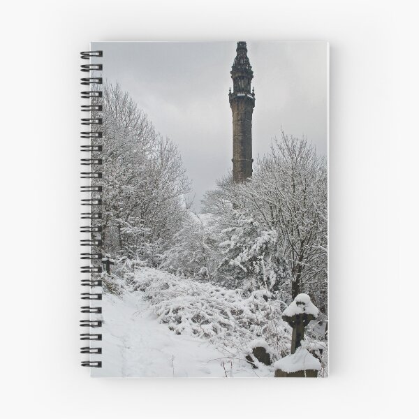 Item preview, Torre Wainhouse. Halifax designed and sold by daimonic.