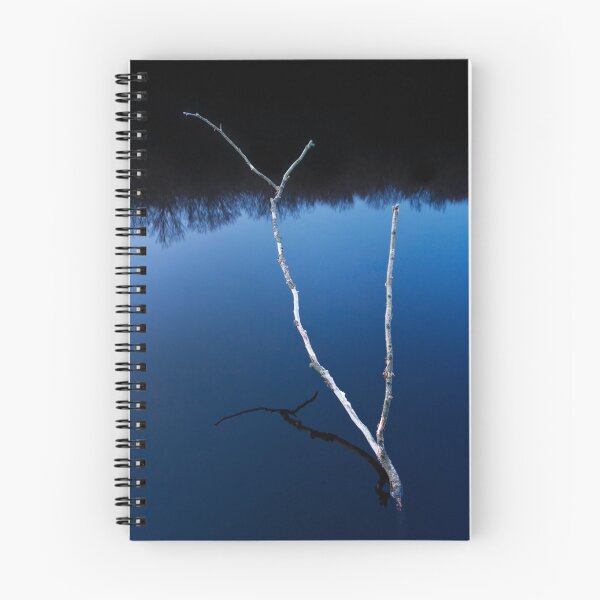 Item preview, Branch designed and sold by Antoine Beyeler.