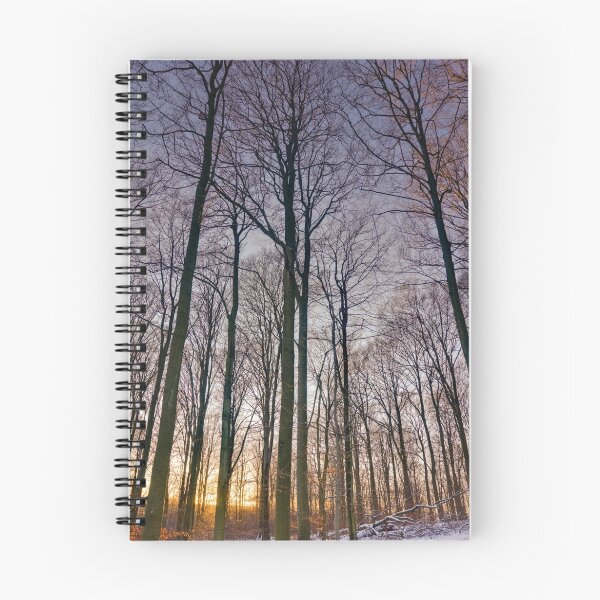 Item preview, Forest at dusk designed and sold by Antoine Beyeler.
