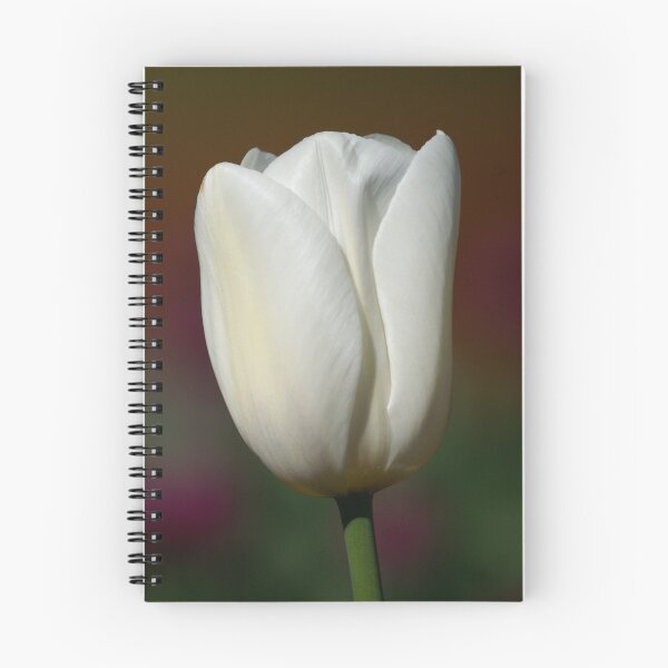 Item preview, White tulip designed and sold by Michael Fotheringham Portraits.