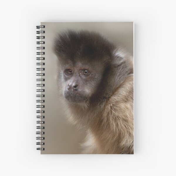 Black-Capped Capuchin Spiral Notebook