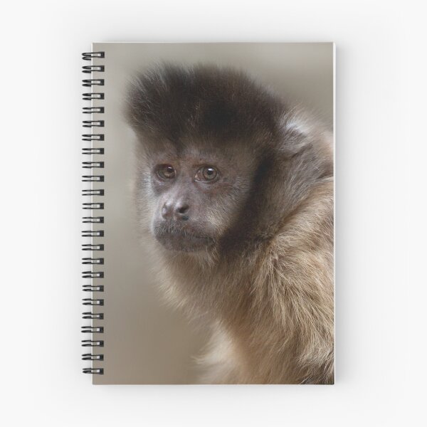 Item preview, Black-Capped Capuchin  designed and sold by Natalie Manuel.