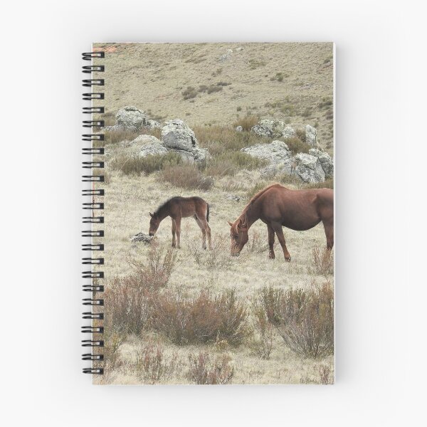 Item preview, SNOWY BRUMBIES designed and sold by julie anne  grattan.