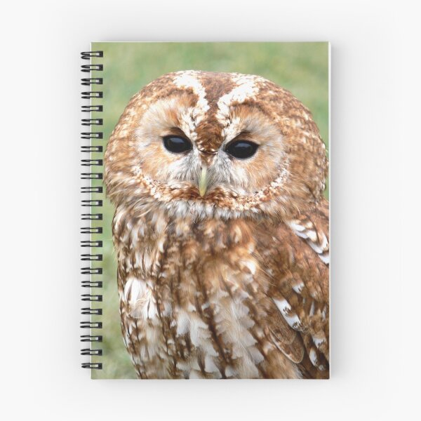 Artikelvorschau, Tawny Owl entworfen und verkauft von Sally Green.