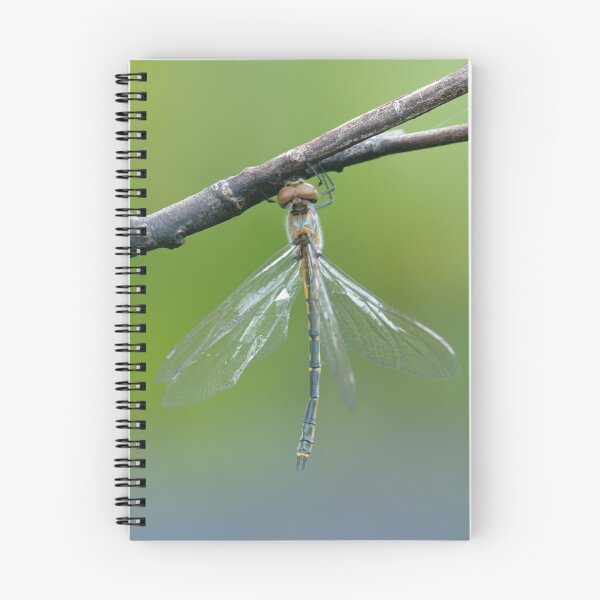 Item preview, Emerald Dragonfly designed and sold by Andrew Trevor-Jones.