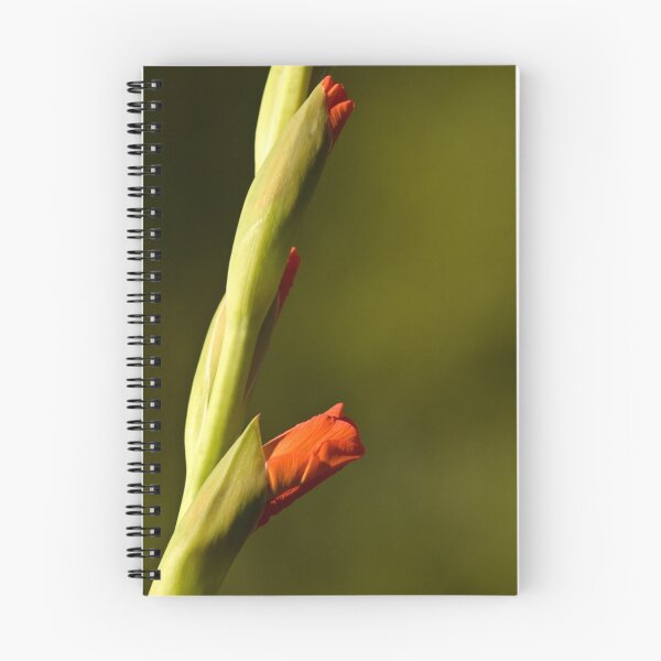 Item preview, Gladioli designed and sold by neroli50.