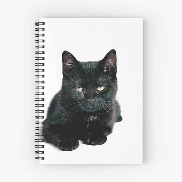 Artikelvorschau, Meow entworfen und verkauft von ImagesbyKelly.