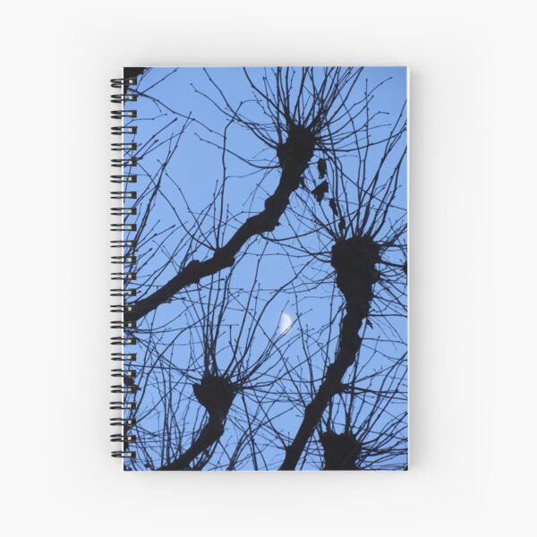 Reaching for the Moon Spiral Notebook