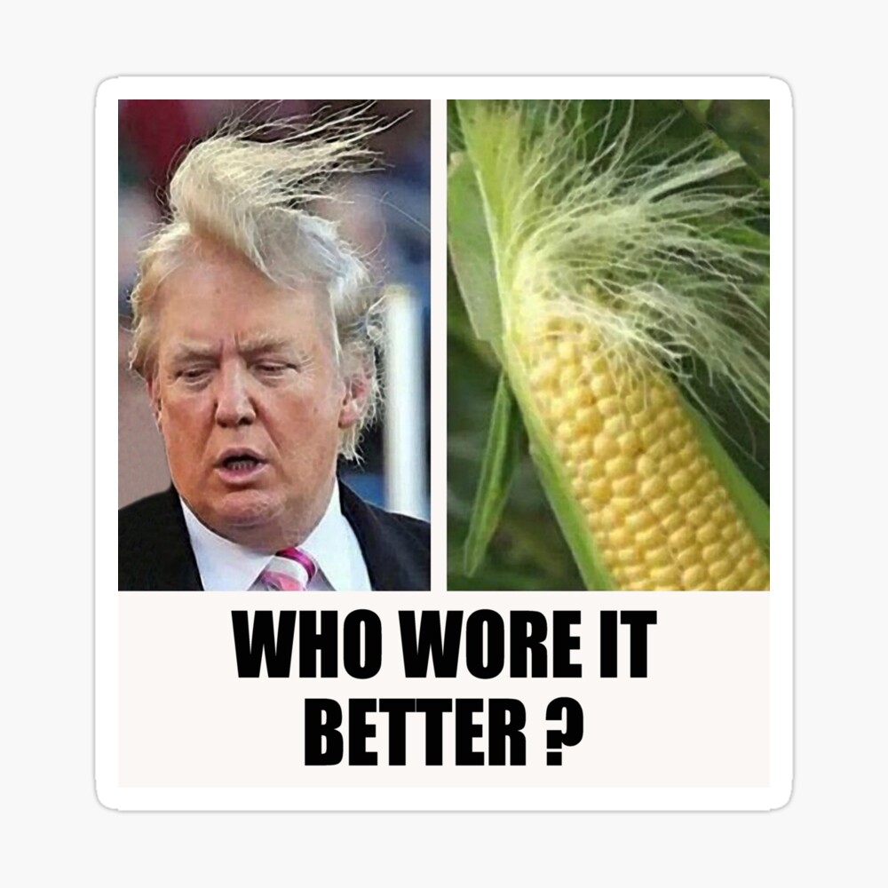 Trump S Hair Vs Corn 2024 HairStyles Ideas