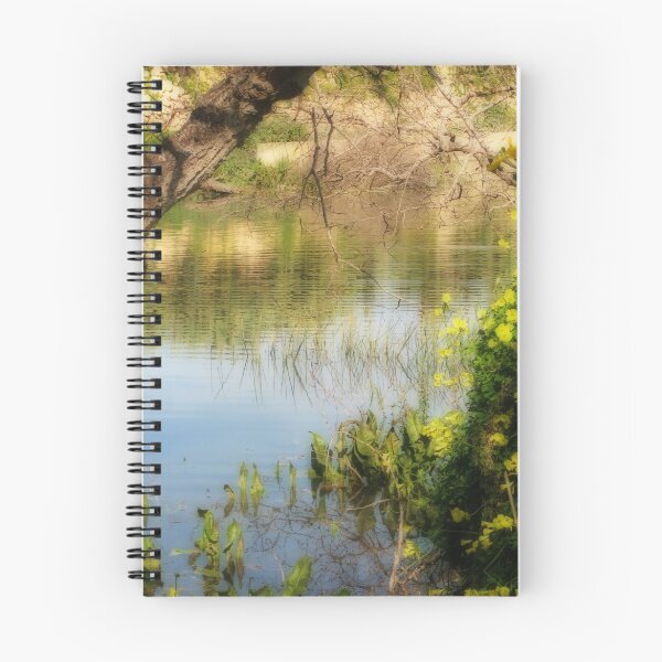 Item preview, The Calm & Sun after the Storm designed and sold by Rosalie M.